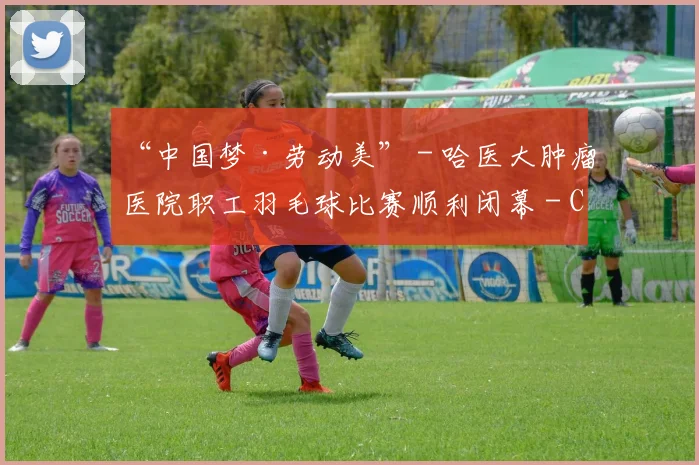 “中国梦·劳动美” - 哈医大肿瘤医院职工羽毛球比赛顺利闭幕 - Copy (4)
